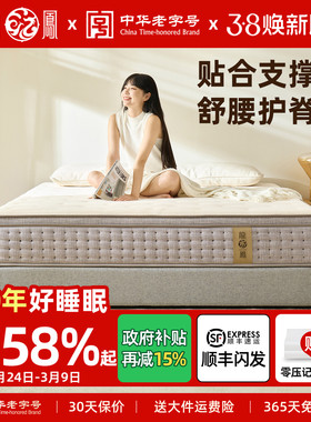 龙凤床垫席梦思床垫羊毛7分区独立袋弹簧床垫双人家用护脊 LF92-1