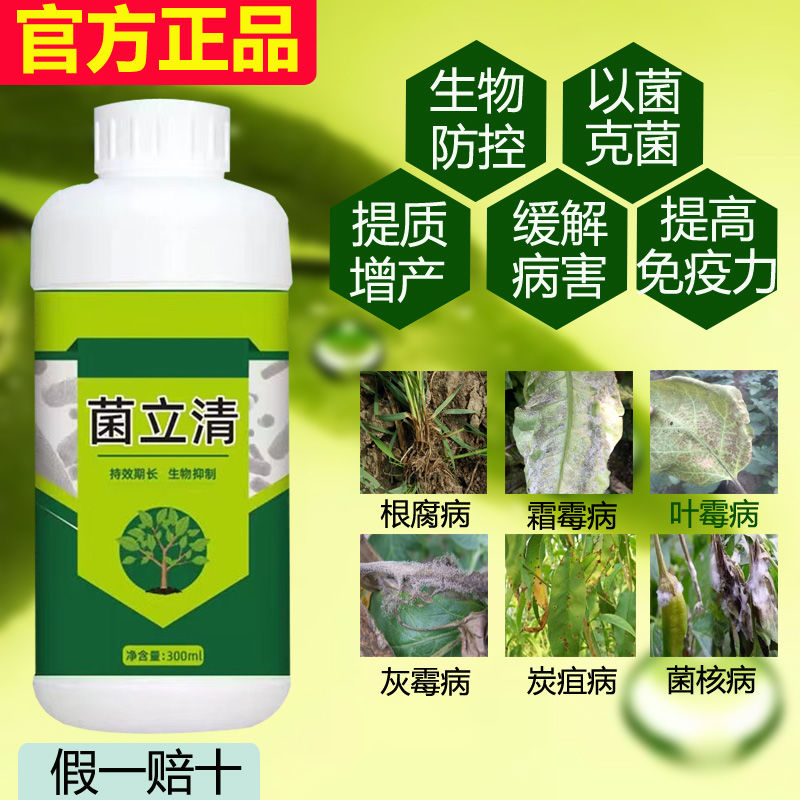 菌立清根腐白粉灰霉叶斑