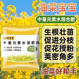 【9.9元到手15袋】油菜宝宝提高出油率促花授粉多密籽粒饱满油菜