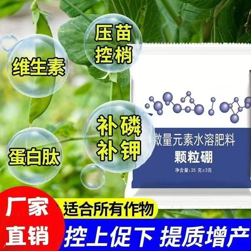 浓缩精品颗粒硼基底肥保花保果提高坐果玉米果树大豆蔬菜通用