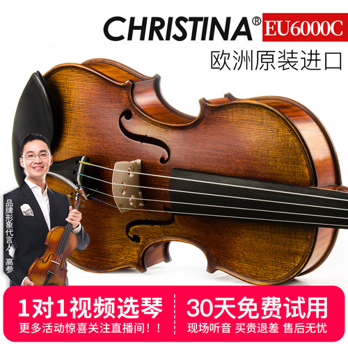 EU6000C欧洲原装进口考级小提琴