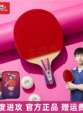 双鱼4星钻石系列乒乓球拍