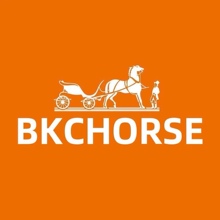 BKCHORSE-手袋＜定制专拍＞