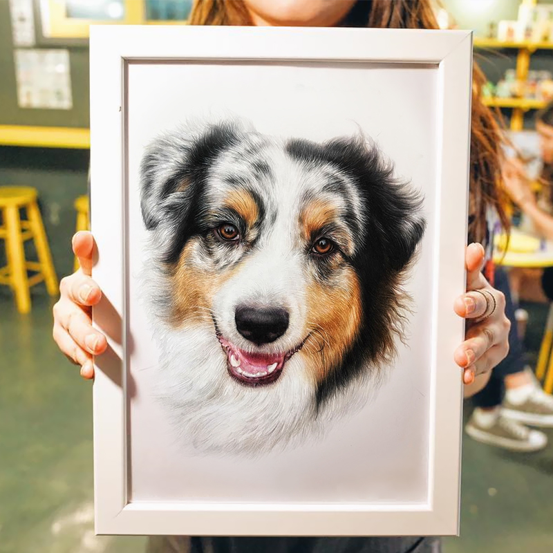彩铅猫咪狗狗爱犬动物画萌宠素描