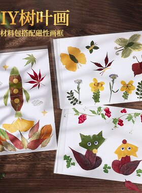真树叶粘贴画植物标本手
