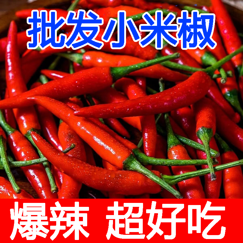 小米椒新鲜特辣5斤朝天椒农家小尖椒红辣椒指天椒土辣椒超辣包邮