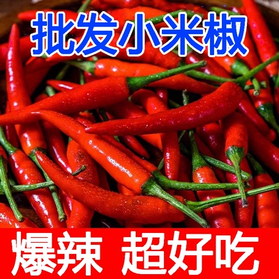 小米椒新鲜特辣5斤朝天椒农家小尖椒红辣椒指天椒土辣椒超辣包邮