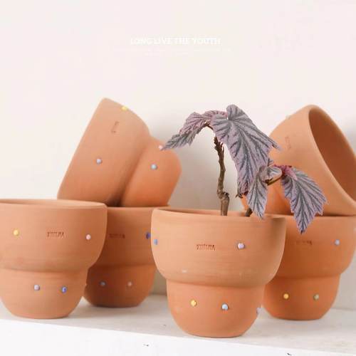 复古养根红陶花盆鱼眼糖