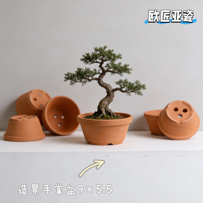 铝丝孔红陶矮花盆大孔透气杜鹃盆罗汉松日本盆景造型榆树绿植小盆