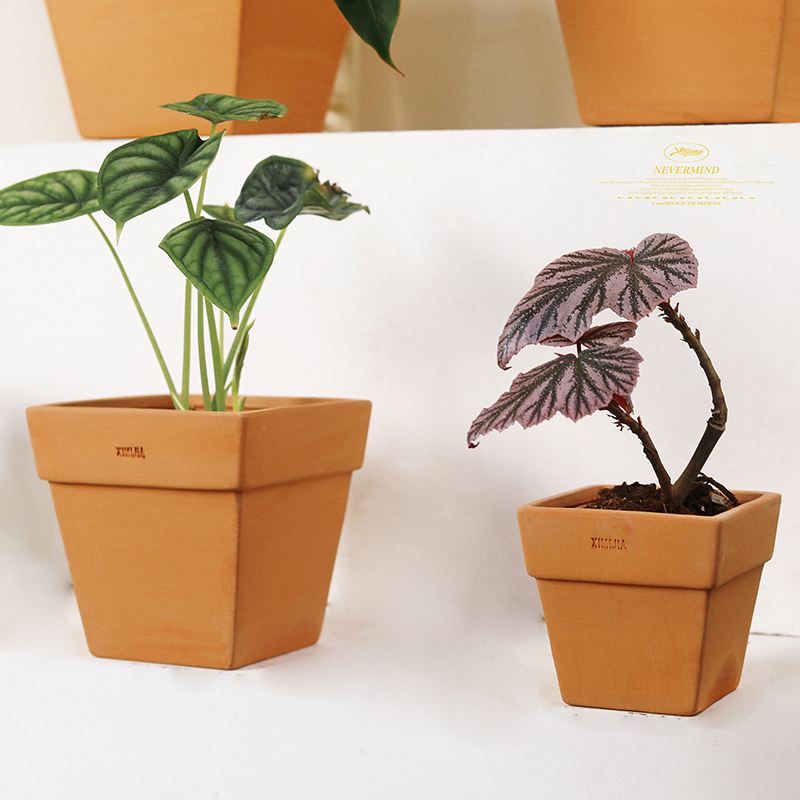 红陶多肉小花盆特大号粗陶简约圆形方形陶土陶瓷泥瓦盆透气盆包邮