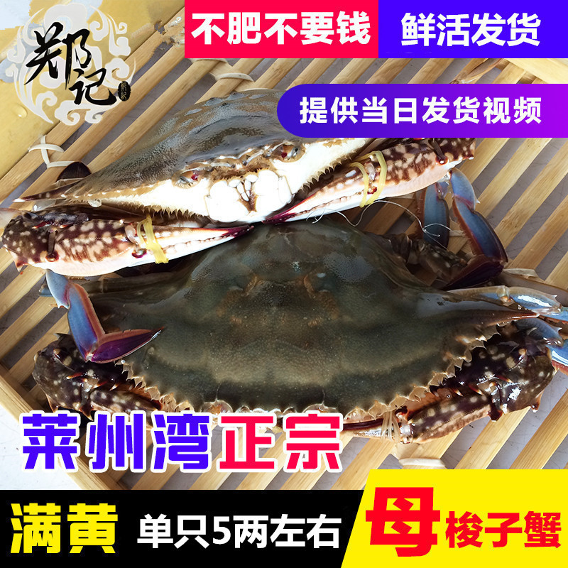 【保鲜不保活】莱州梭子蟹冰鲜母梭子蟹海蟹飞蟹螃蟹水产500g