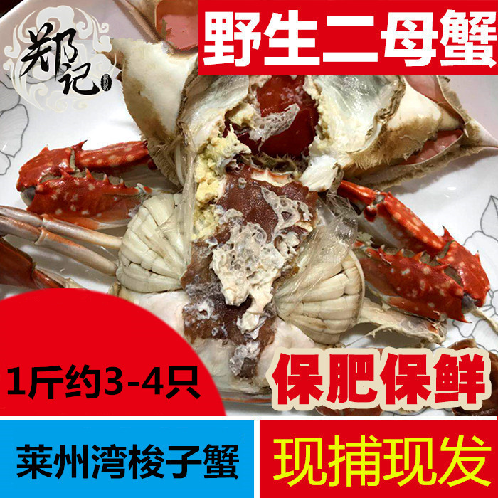 野生梭子蟹莱州湾二母蟹花翅