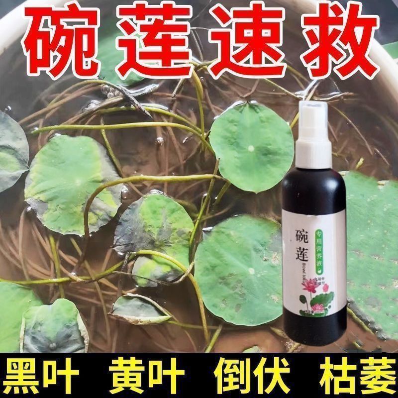 碗莲专用营养液睡莲肥料通用水溶肥水培种子发芽生根促开花防黄叶