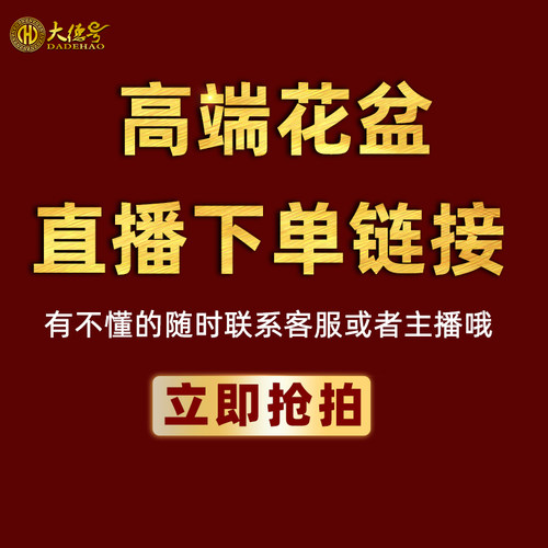 紫砂高端兰花盆美观大方