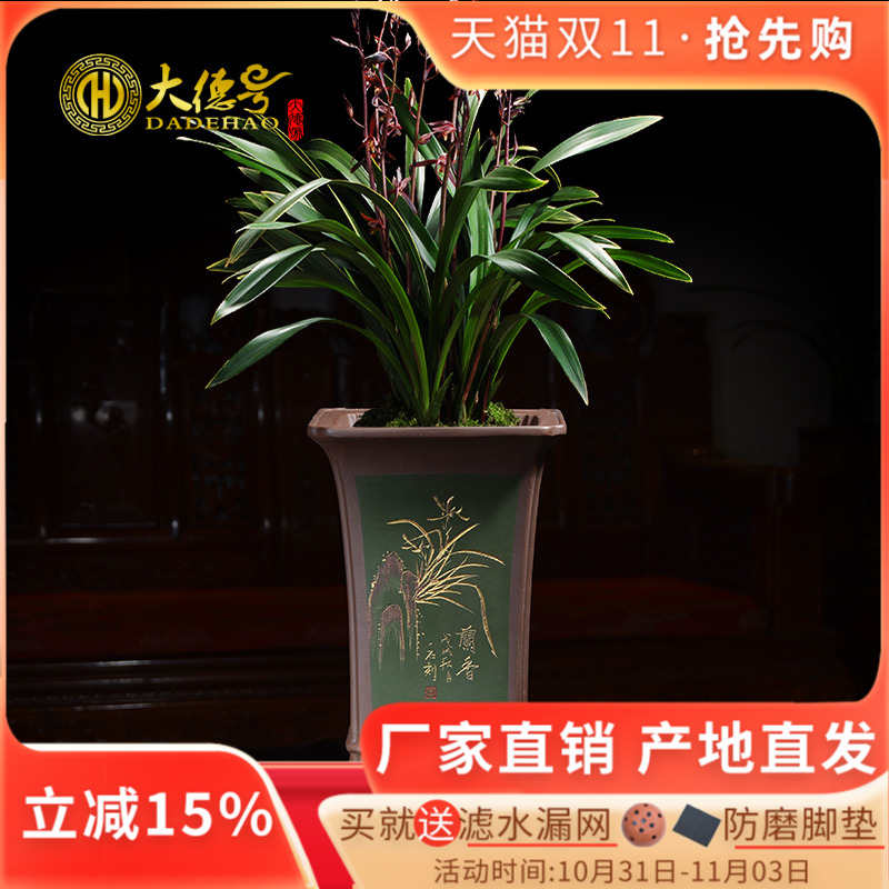 兰花盆 紫砂花盆陶瓷盆栽建兰兰花专用盆四方形带托盘底座盆景盆
