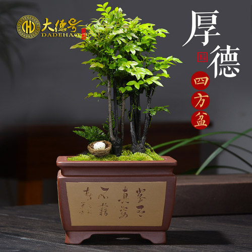 宜兴紫砂盆景盆室内中国风假山吸水盆景花盆厚德四方小号盆景花盆 - 封面
