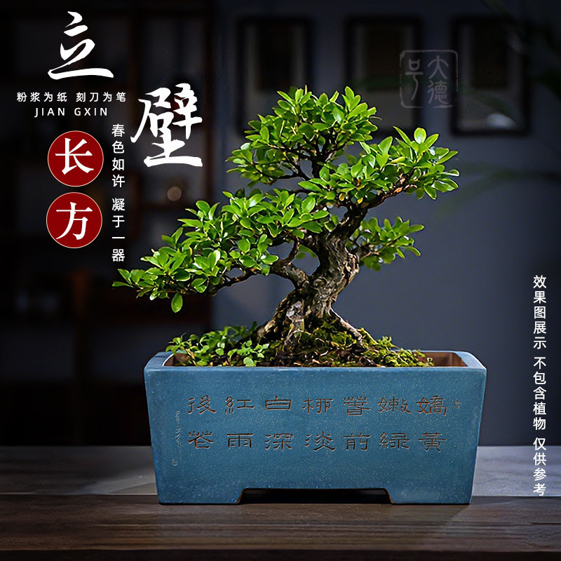 大德号长方形陶瓷盆景盆长条悬崖式紫砂花盆吸水石假山老桩专用盆