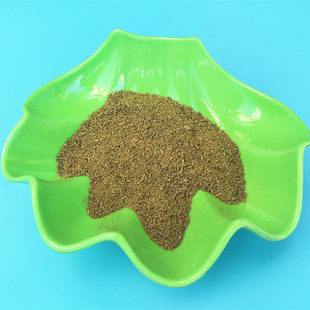 新疆珊怡半颗粒孜然粒500克 大袋颗粒粉烧烤肉调料吐鲁番和田包邮