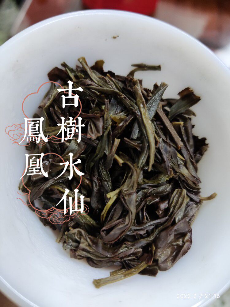 石古坪古树水仙微苦回甘茶汤醇滑