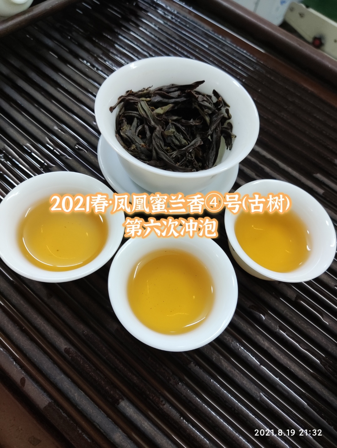 聚岽源双吉娘古树春季蜜兰香④号