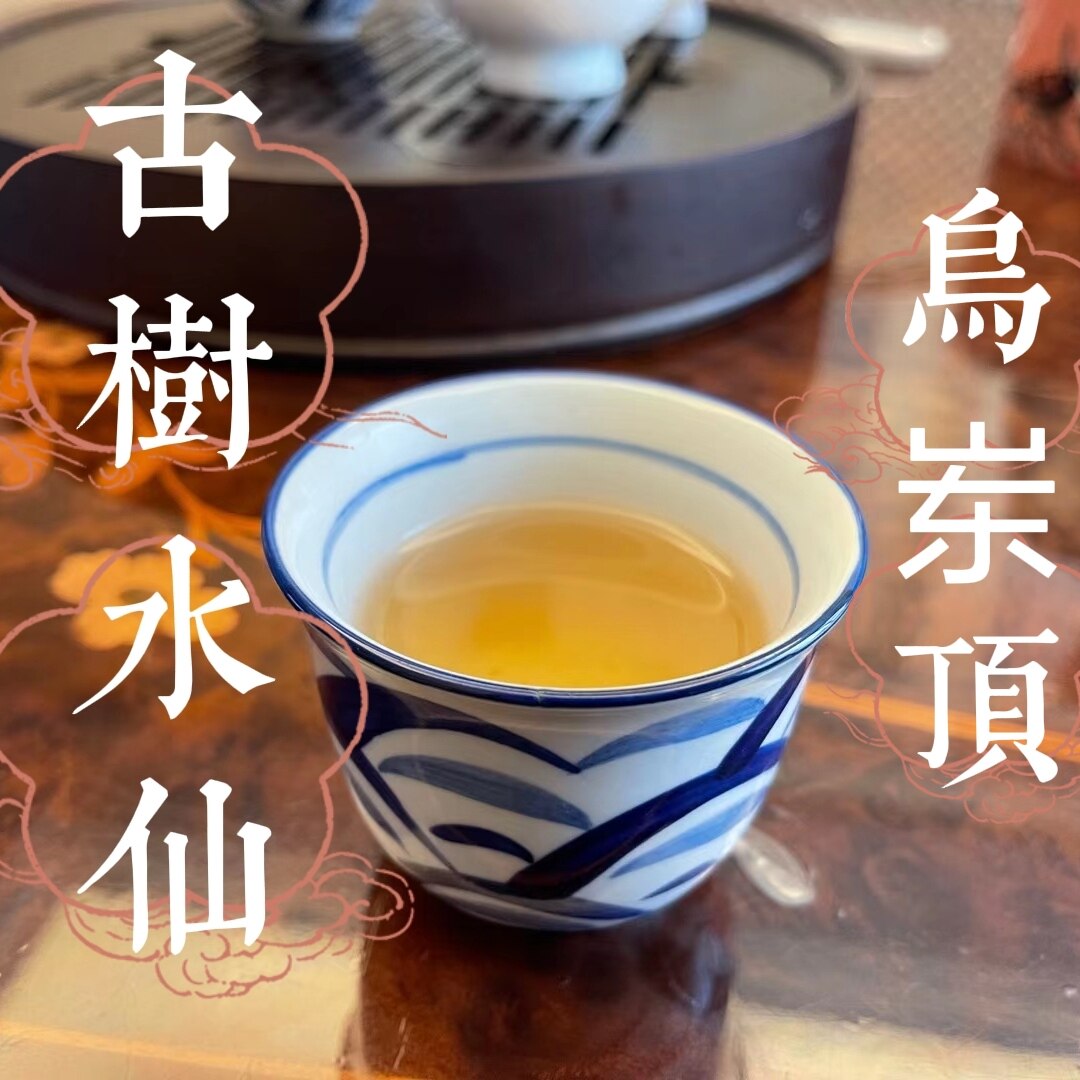 聚岽源乌岽古树水仙微苦回甘乌龙