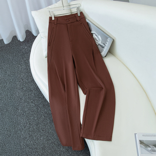 休闲显瘦阔腿裤女秋季2025年新款高腰侧压褶小个子直筒西装风笛裤