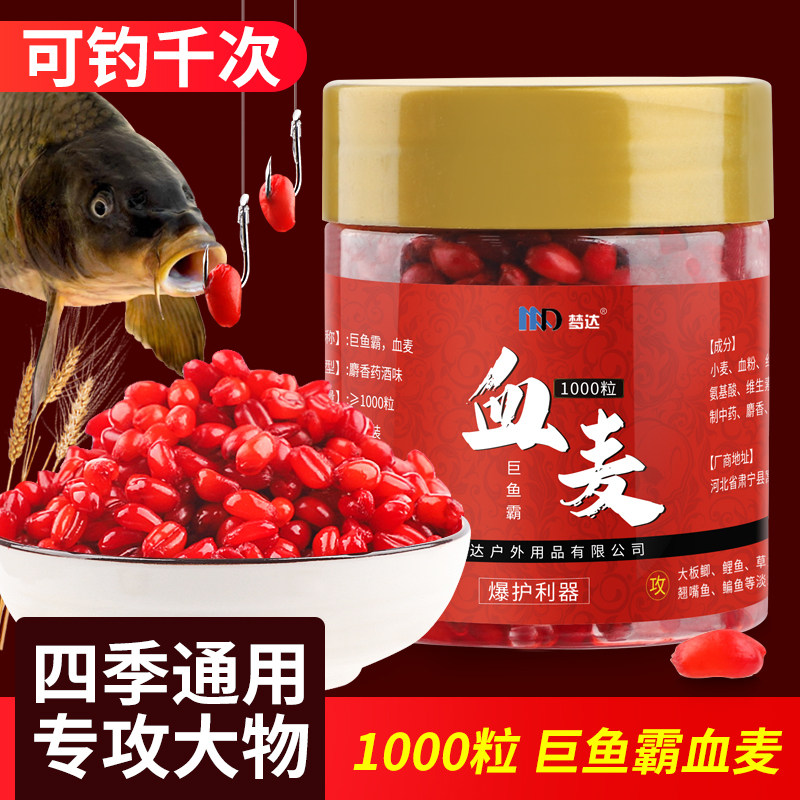 钓鱼小麦粒血麦饵料谷道香野钓鲫鱼鲤鱼草鱼四季通杀红虫颗粒钓饵