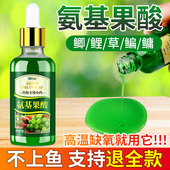 氨基果酸钓鱼小药诱鱼剂野钓黑坑鲫鱼草鱼青鲤鱼高浓度鲢鳙开口剂