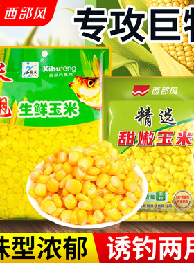梦达西风部米翘生鲜玉米甜嫩青草鲤鳊鱼适用野钓鱼饵VB玉米打窝料
