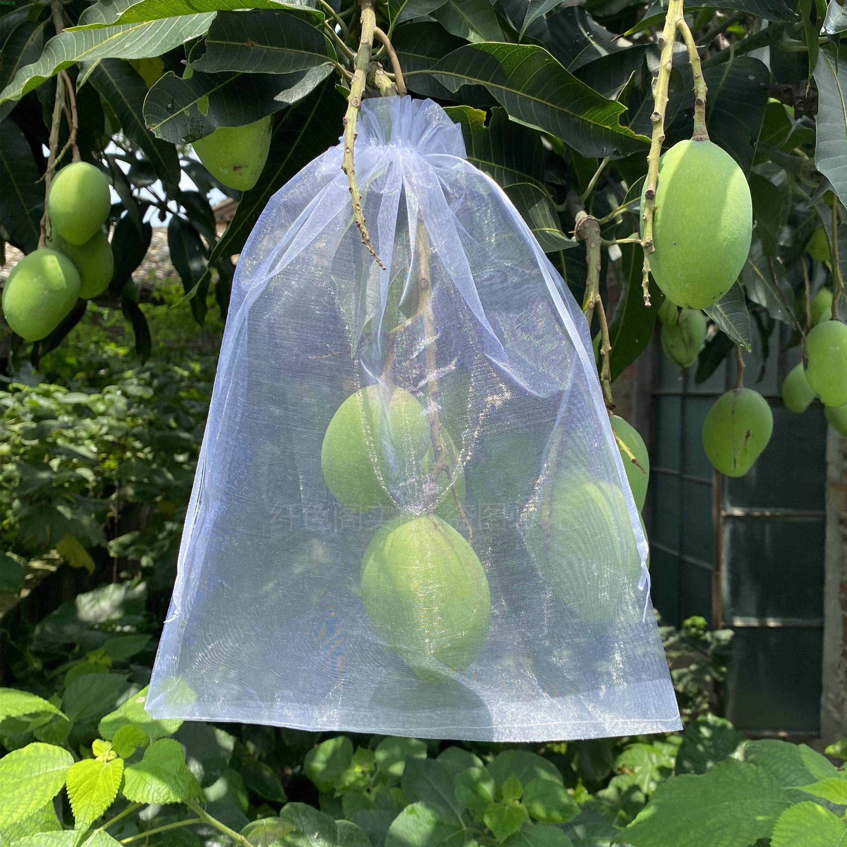 水果树网套袋果防鸟防虫网袋火龙果葡萄无花果石榴保护桃子袋青瓜