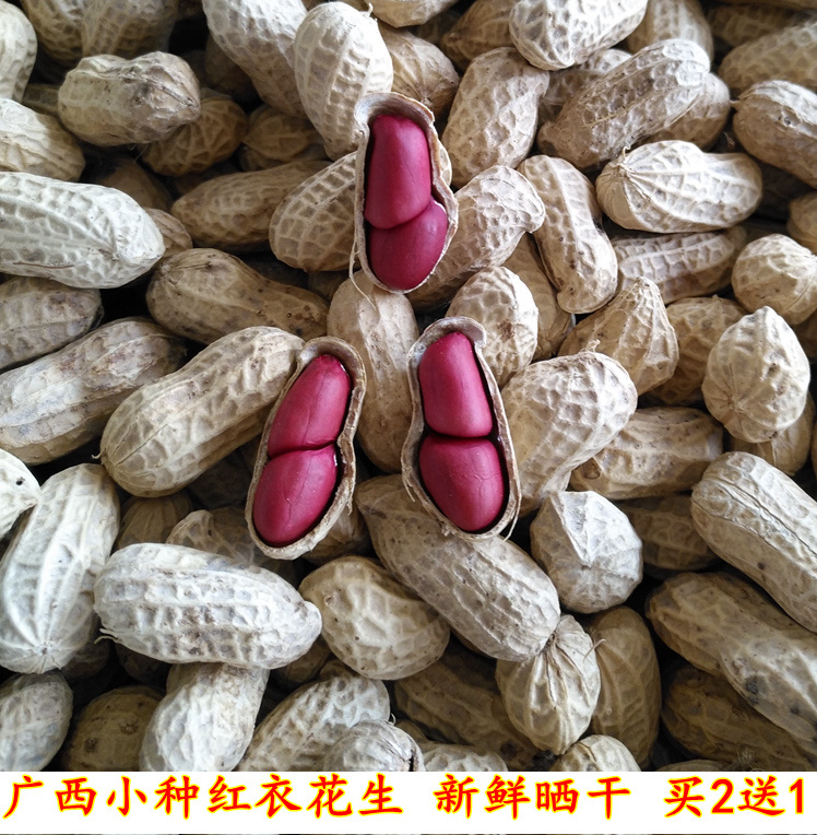 广西农家小种红衣花生 250克包邮  晒干生花生 孕妇小孩零食炖汤