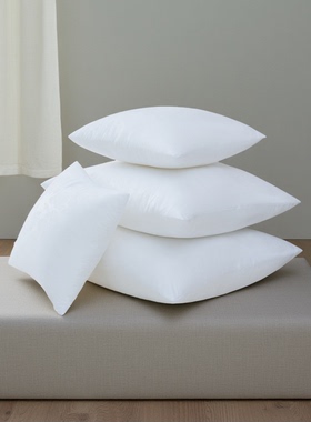 抱枕芯5050样板房沙发床头靠垫芯PP棉填充6060磨毛布外壳