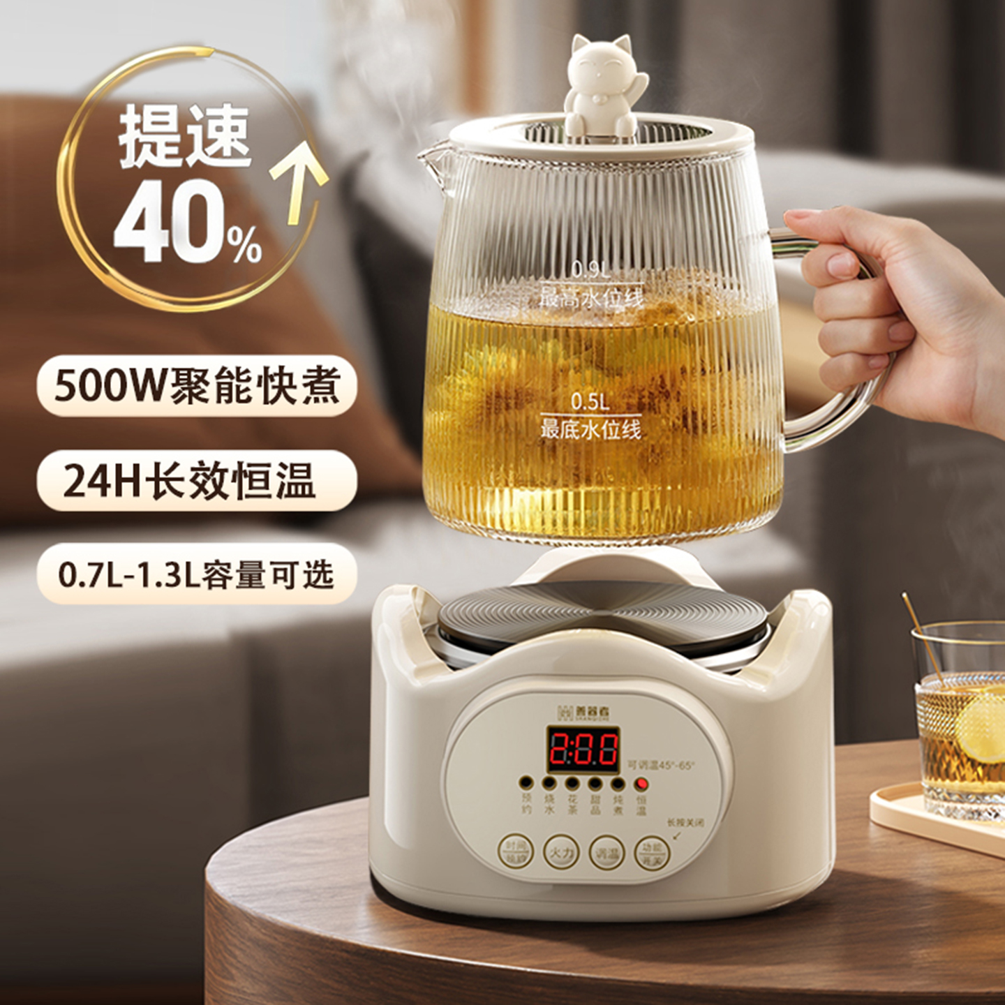 办公室迷你养生壶家用小型花茶壶