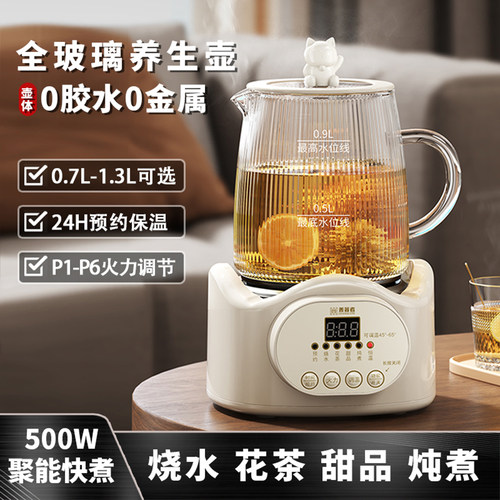 小型养生壶办公室煮茶壶