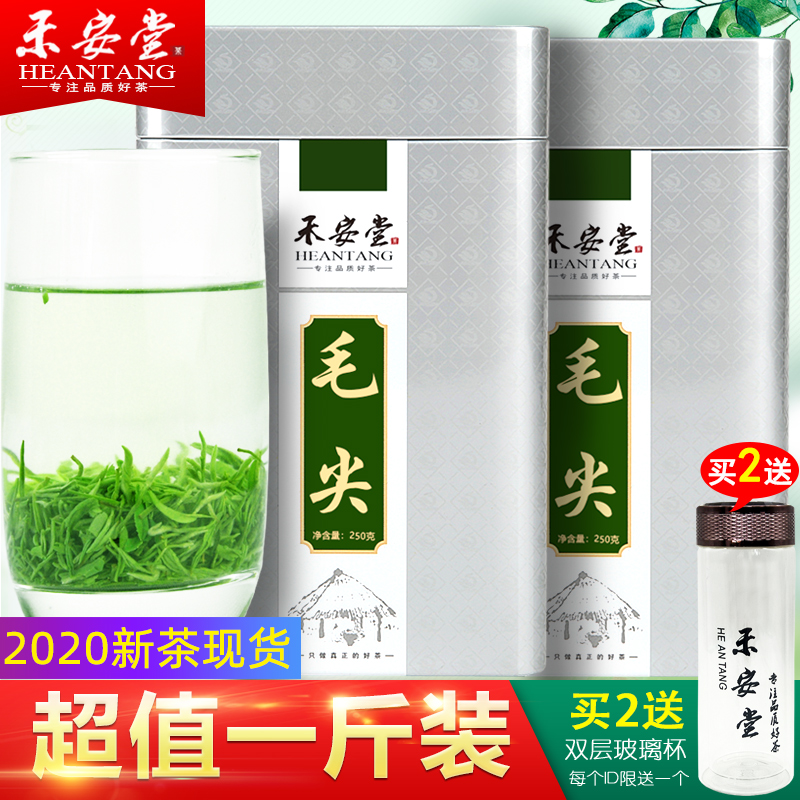 【买一送一】禾安堂毛尖绿茶年新茶叶信阳原产毛尖共500g
