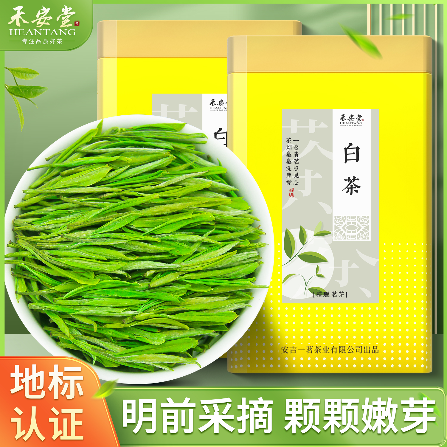 禾安堂安吉白茶2025新茶特级明前绿茶茶叶官方旗舰店罐装自己喝