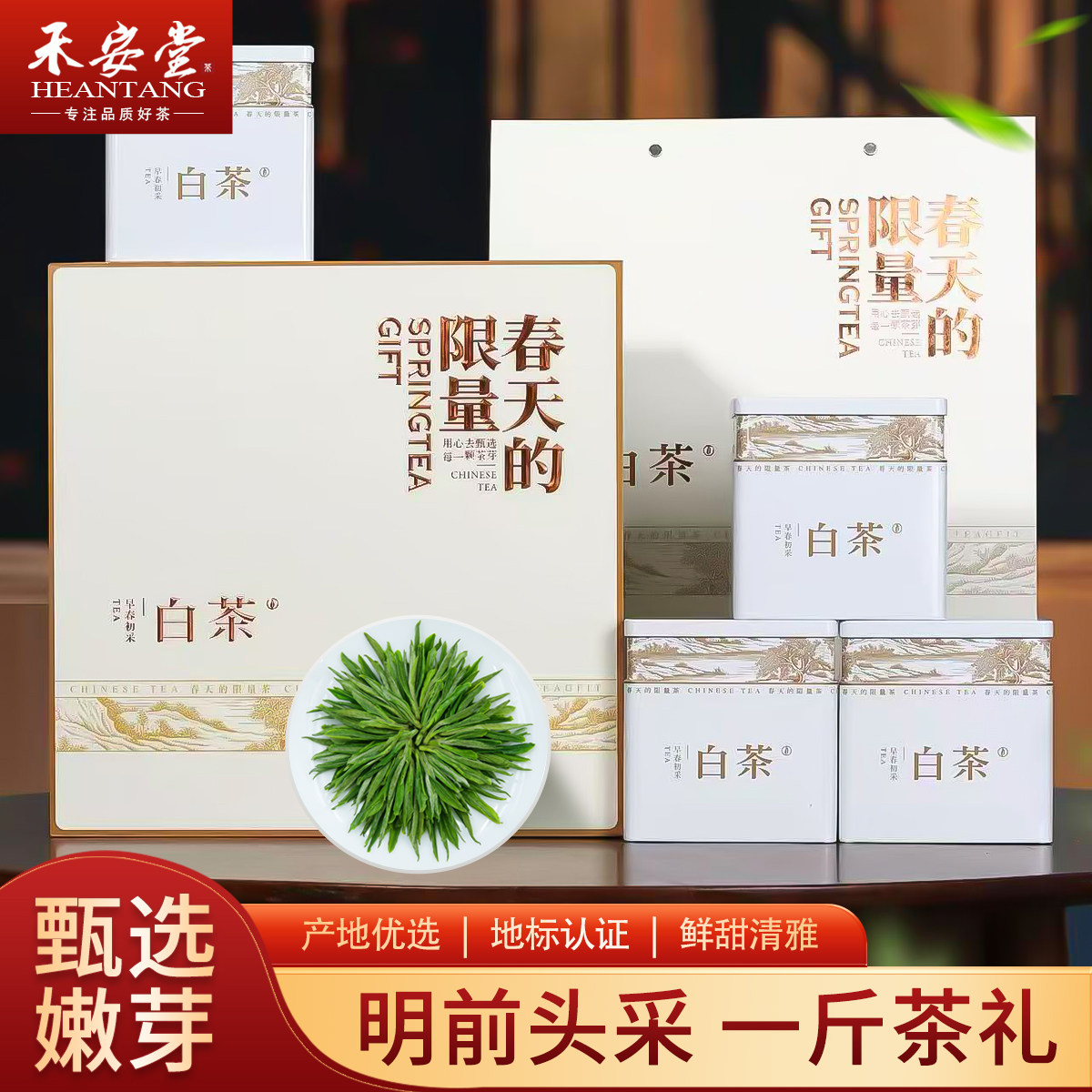 禾安堂2026新茶安吉白茶旗舰店绿茶高端礼盒装送长辈领导端午茶叶 - 实物图