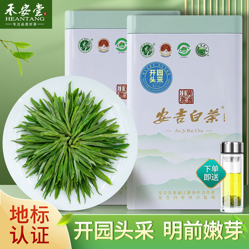 明前头采安吉白茶罐装