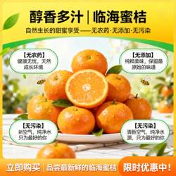 临海蜜桔桔子无核无渣爆汁皮薄易剥当季新鲜水果现摘现发整箱