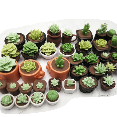 diy娃屋食玩装饰配件植物多肉