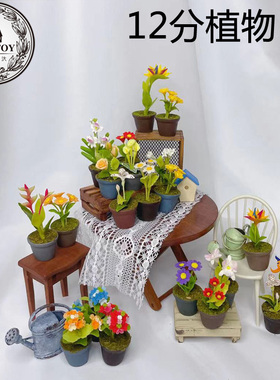 娃娃屋diy小屋子迷你模型dollhouse粘土袖珍成品配件12分盆栽植物