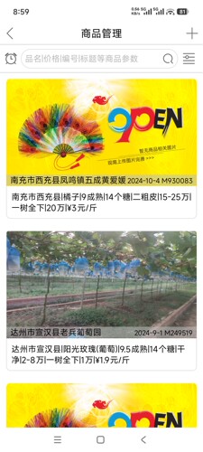 AI定制开发     APP定制iOS安卓    原生开发