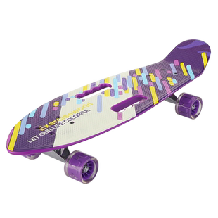 浪丽手提小鱼板6-12岁成人儿童初学青少年专业四轮刷街代步滑板车