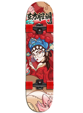 浪丽定制图案青少年双翘板滑板