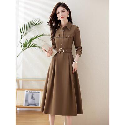 高级感春秋长袖衬衫连衣裙女2025新款收腰显瘦气质翻领过膝长裙子