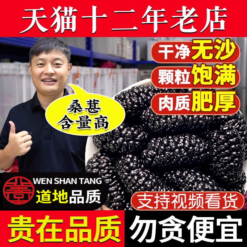 桑葚干新疆桑甚桑椹茶野桑葚新鲜现货泡茶黑桑椹官方旗舰店搭枸杞