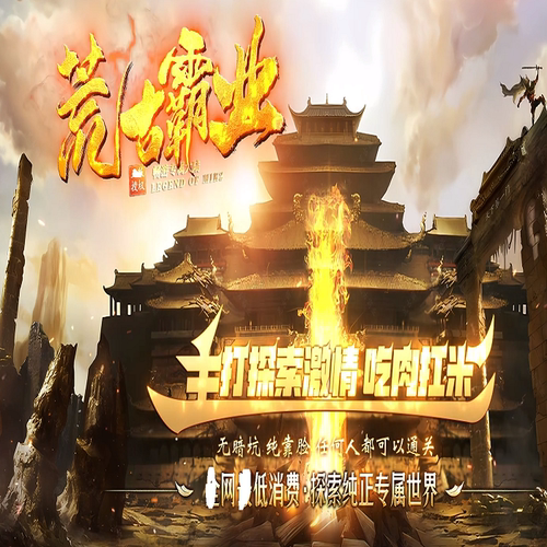 逐枫网络荒古霸业单职业青木天书