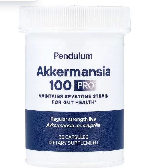 Pendulum阿克曼菌Keystone菌株