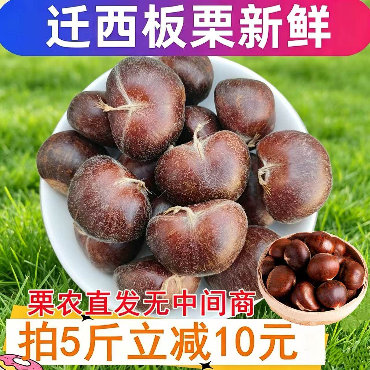迁西板栗生新鲜栗子生鲜大栗子河北3113生板栗燕山野生大油栗批发