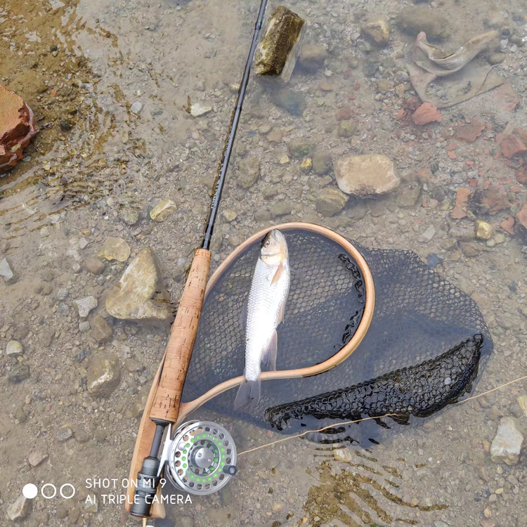 MAXCATCH飞钓竿 4节2.3米3米Airlite小号马口白条翘嘴竿 碳素水库